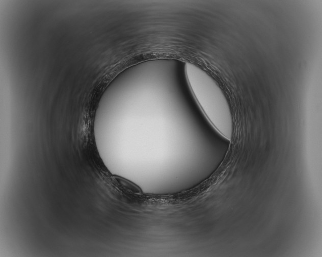 X0000088430914200705220850