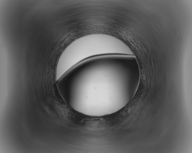 X0000088430916200705220850