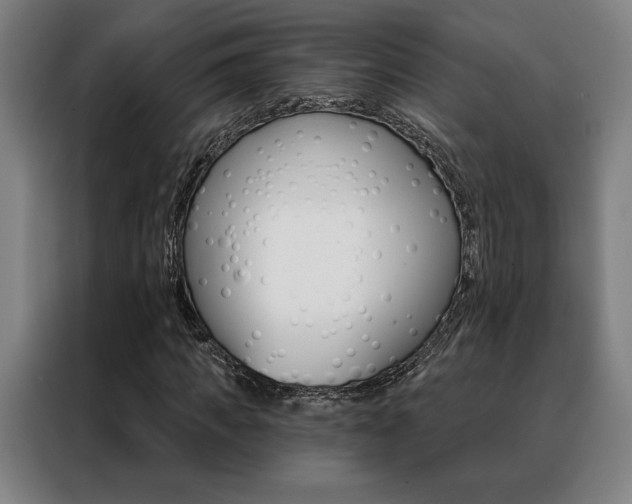 X0000088430917200705220851