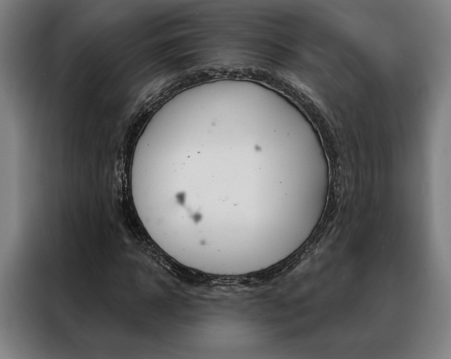 X0000088430918200705220851