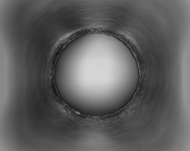 X0000088430920200705220851