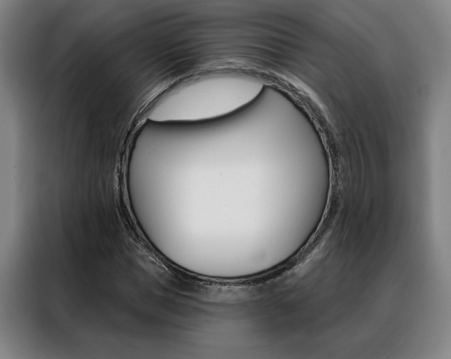 X0000088430921200705220851