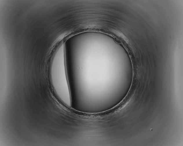 X0000088430922200705220851