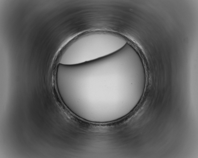 X0000088430925200705220851