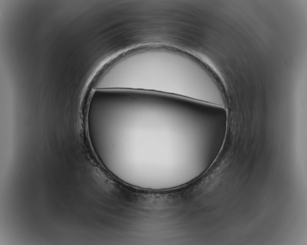 X0000088430927200705220851