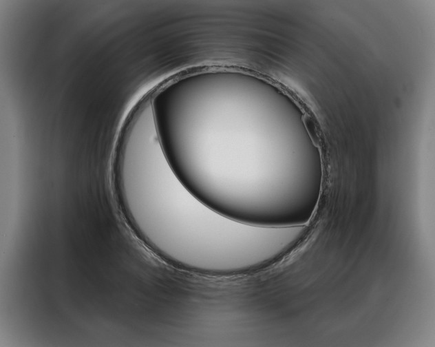 X0000088430928200705220851