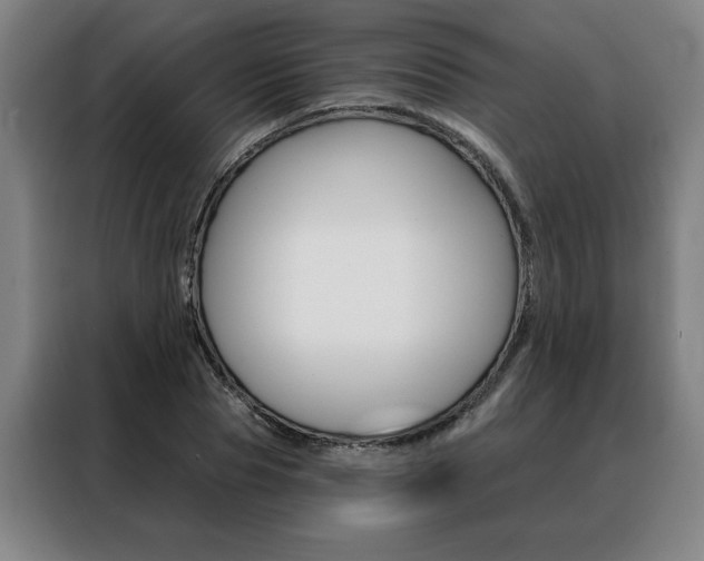 X0000088430929200705220851