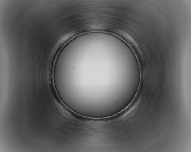X0000088430930200705220851