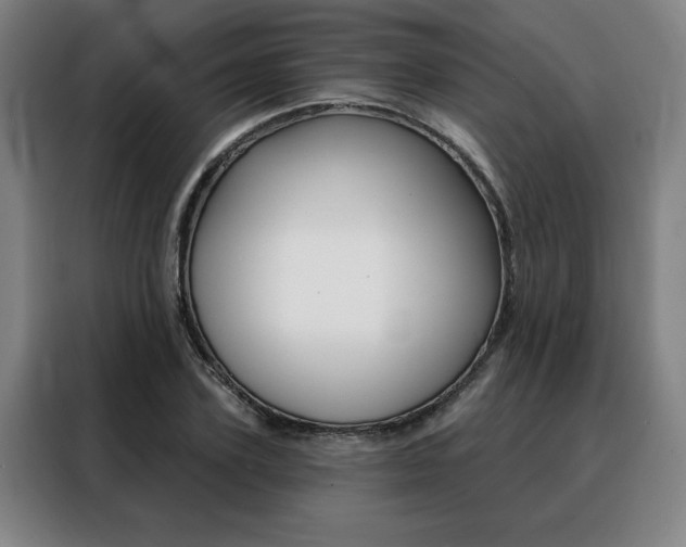 X0000088430931200705220851