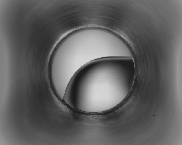 X0000088430934200705220851