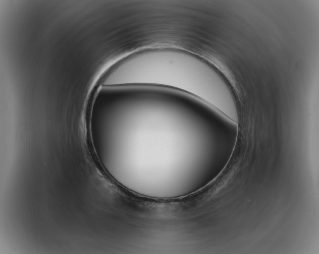 X0000088430936200705220851
