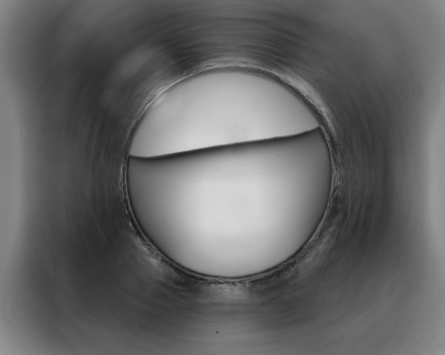 X0000088430937200705220851