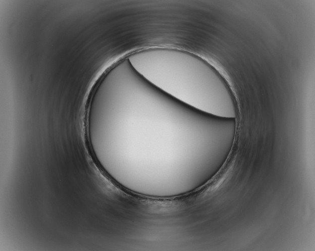 X0000088430941200705220851