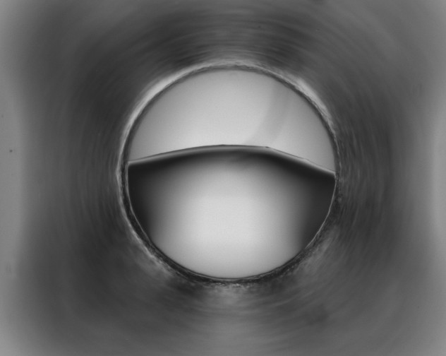 X0000088430943200705220851