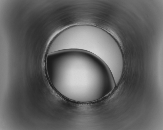 X0000088430944200705220851