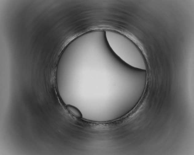 X0000088430945200705220851