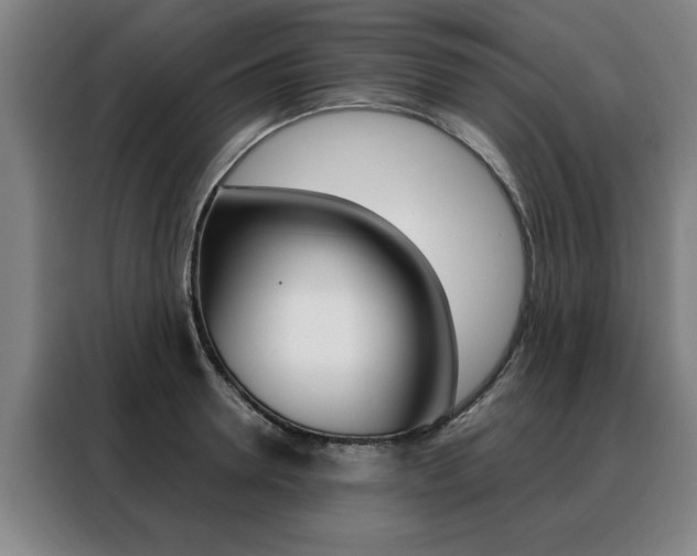 X0000088430946200705220851