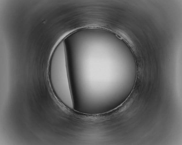 X0000088430948200705220851