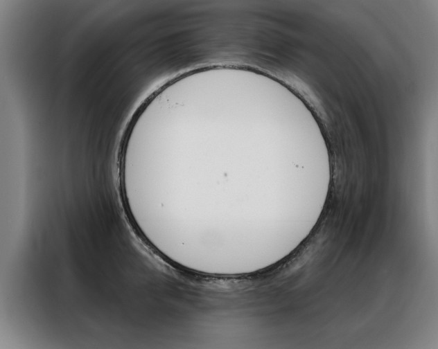 X0000088430950200705220851