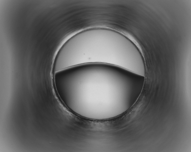 X0000088430951200705220851