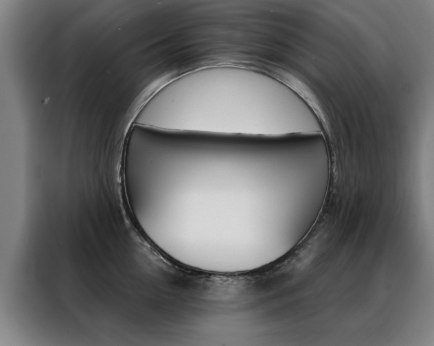 X0000088430954200705220851