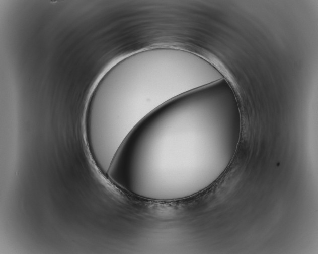 X0000088430955200705220851