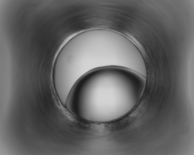 X0000088430956200705220851