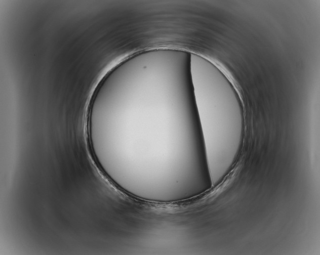 X0000088430957200705220851
