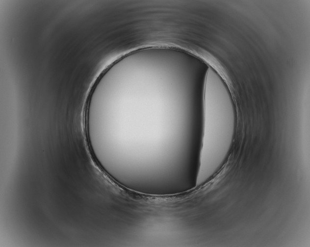 X0000088430958200705220851