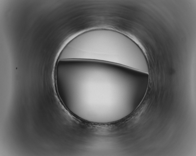 X0000088430959200705220851