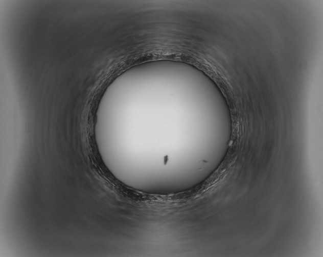 X0000088430961200705220850