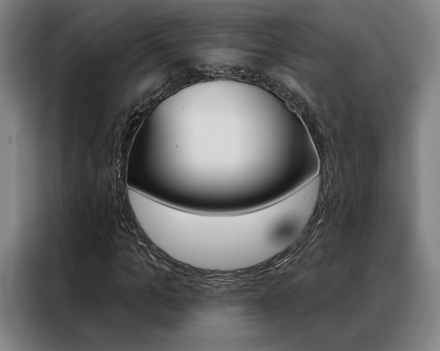 X0000088430965200705220850