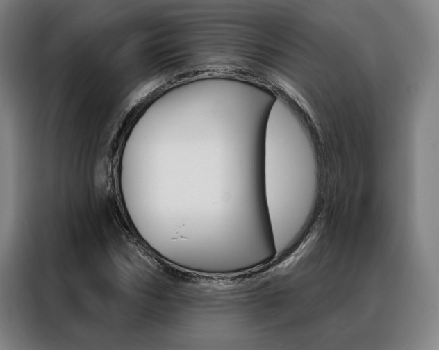 X0000088430970200705220850