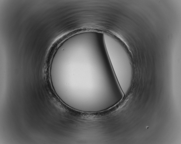 X0000088430971200705220850