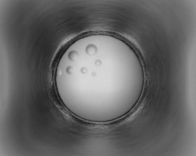 X0000088430974200705220850
