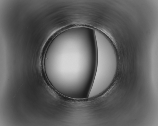 X0000088430976200705220850