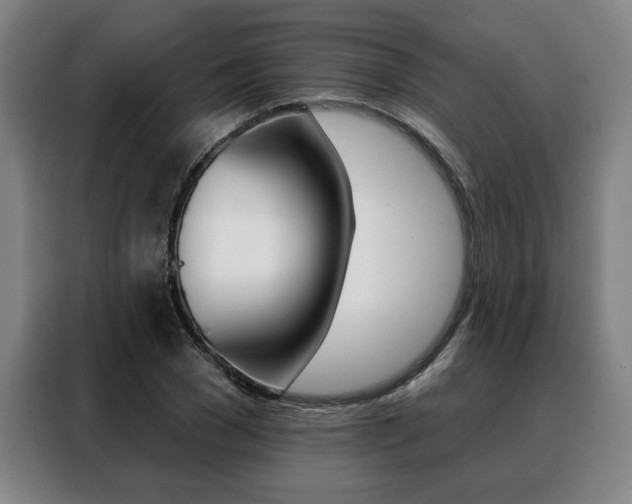 X0000088430977200705220850