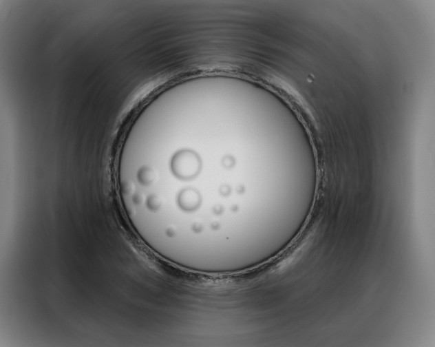 X0000088430978200705220850