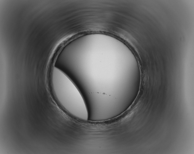 X0000088430979200705220850