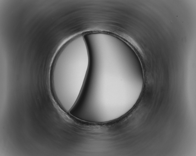 X0000088430980200705220850