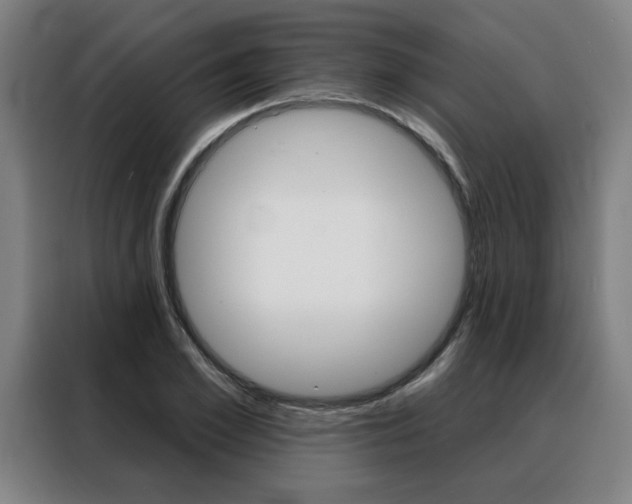 X0000088430981200705220850