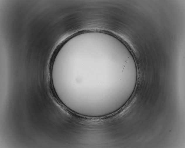 X0000088430982200705220850