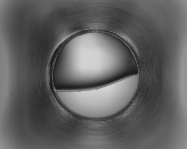 X0000088430983200705220850