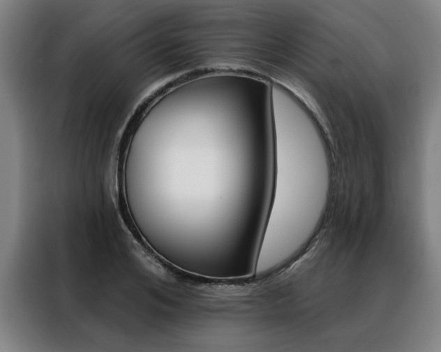 X0000088430984200705220850
