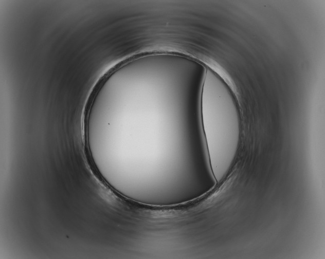 X0000088430988200705220850