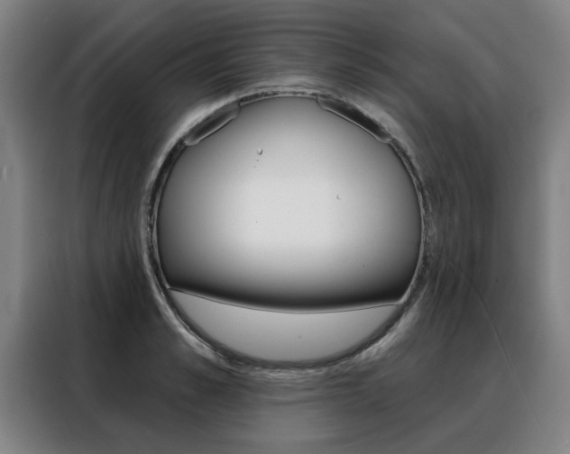 X0000088430989200705220850