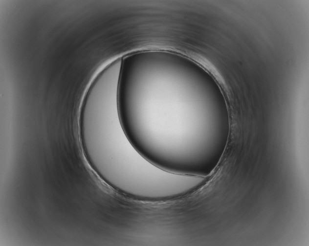 X0000088430996200705220850