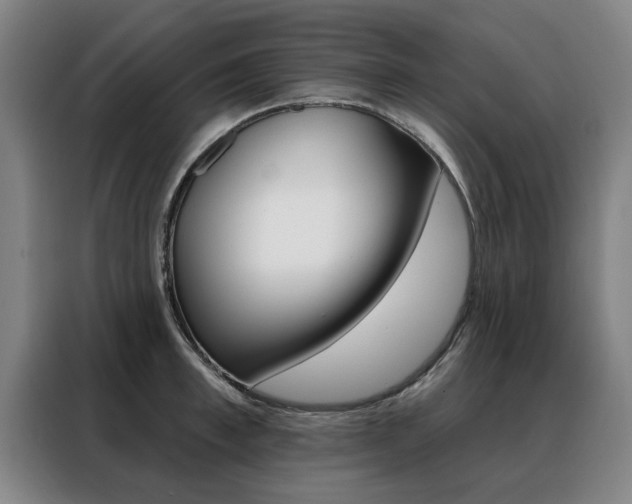 X0000088430997200705220850