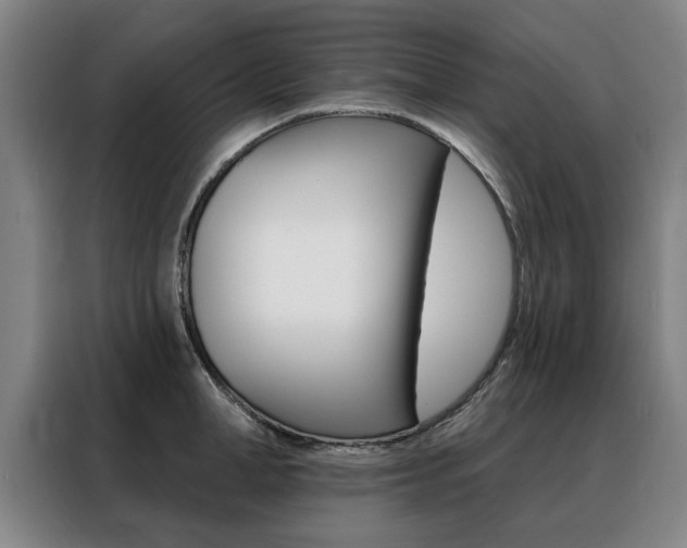 X0000088430998200705220850
