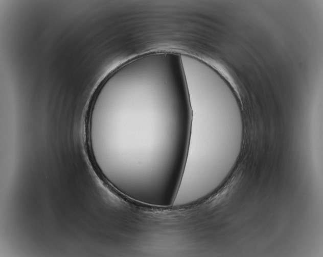 X0000088430999200705220850